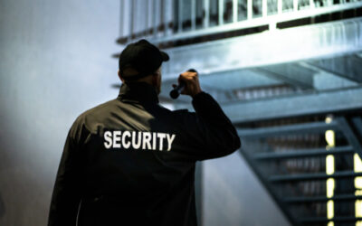 The Value of Randomised Security Patrols in Minimising Security Risks
