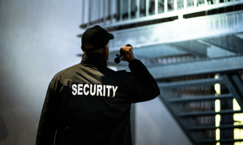 The Value of Randomised Security Patrols in Minimising Security Risks
